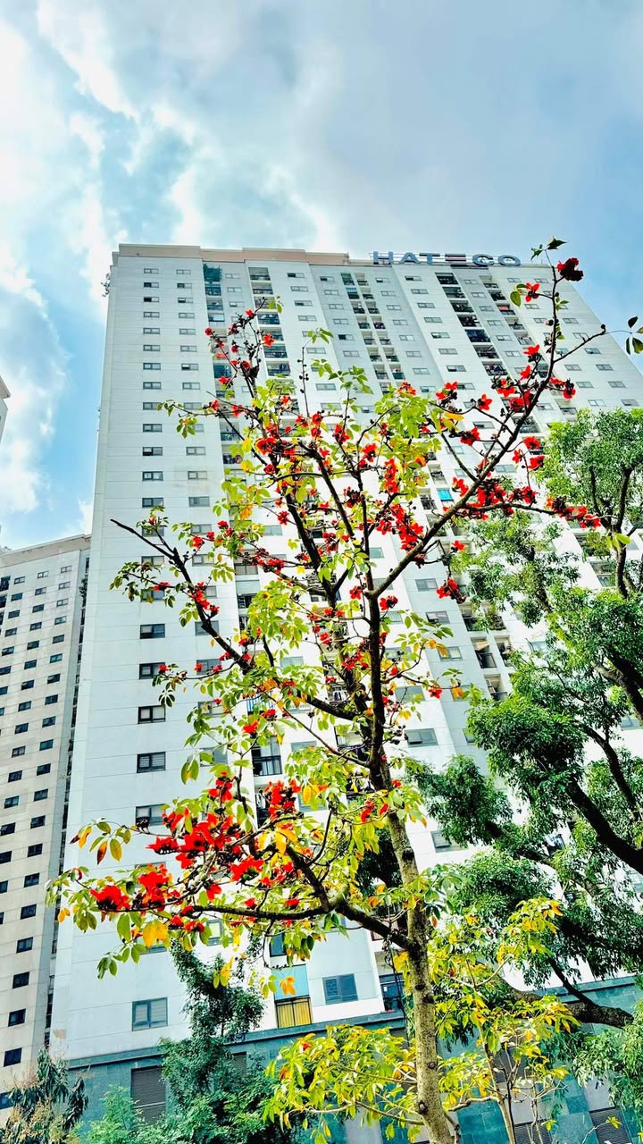 Cho thuê Căn hộ Hateco 3N Yên Sở - Giá từ 9 triệu/tháng