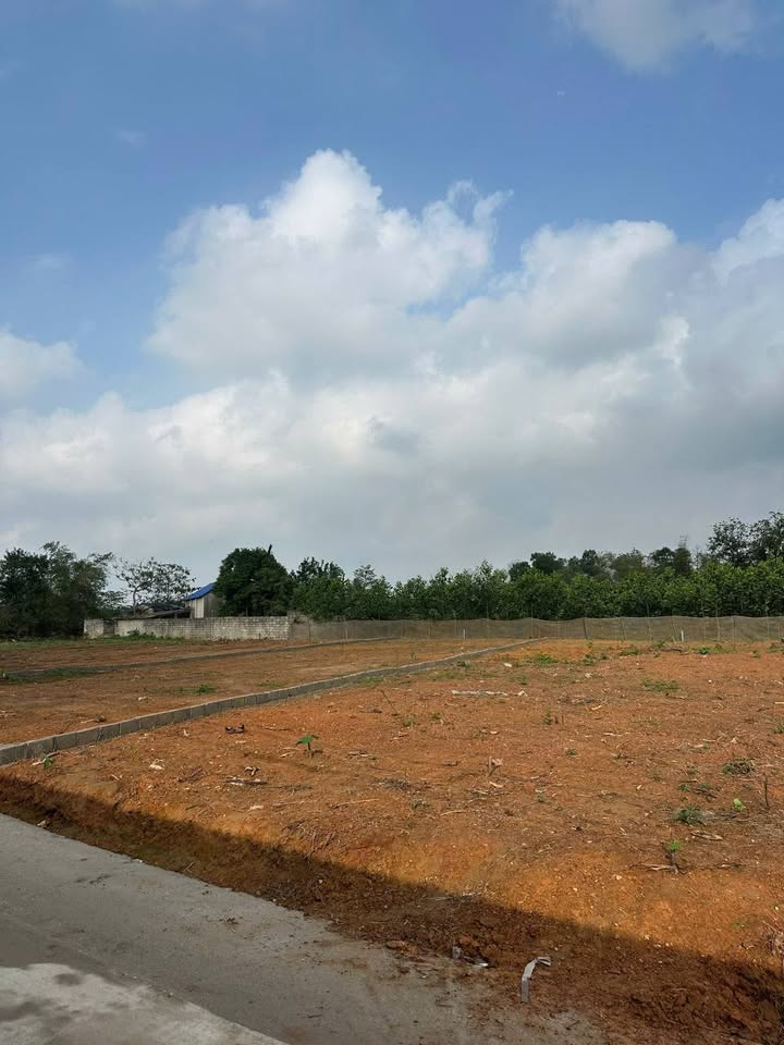 Đất nền Lương Sơn – Gang Thép 300m² – Tiềm năng tăng giá vượt trội!