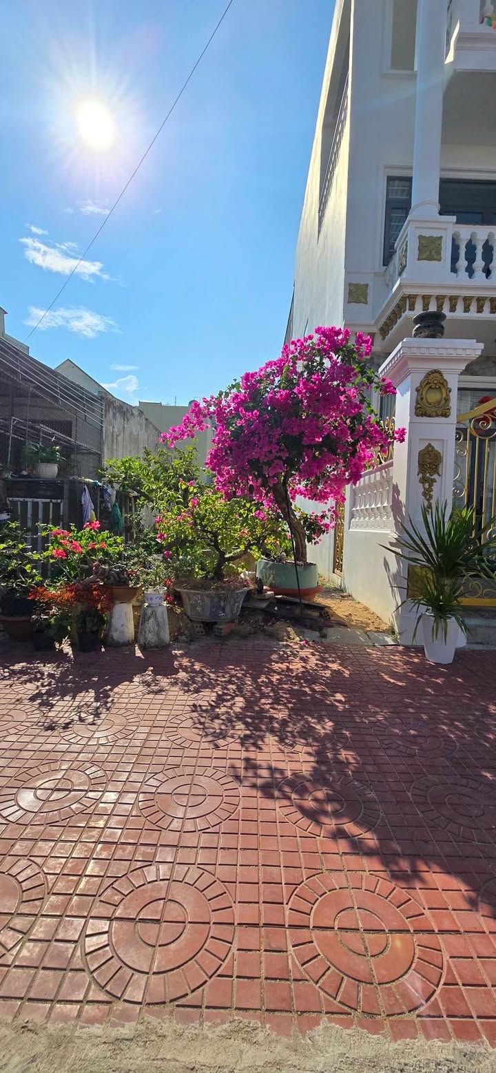 Đất nền Phước Sơn, Tuy Phước 137m² hướng Đông - Sổ đỏ sẵn sàng