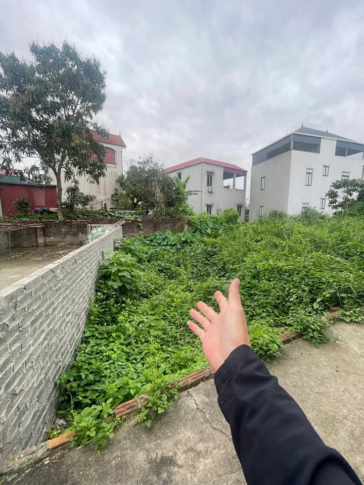 Đất nền Phúc Thọ 43m² - Sổ đỏ sẵn, giá đầu tư F0