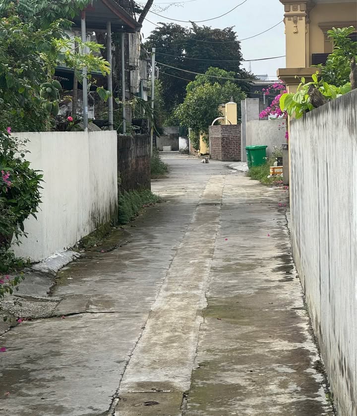 Đất nền Hạ Đỗ An Dương 67m² 1.2 tỷ - Sổ đỏ chính chủ