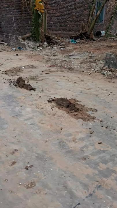 Đất nền Tự Lạn Việt Yên 209m² - Sổ đỏ chính chủ!