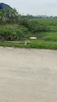 Đất Nền Thọ Xuân, Thanh Hóa - 252.5m² Đầu Ve, Sẵn Sàng Xây Nhà Vườn, Xưởng