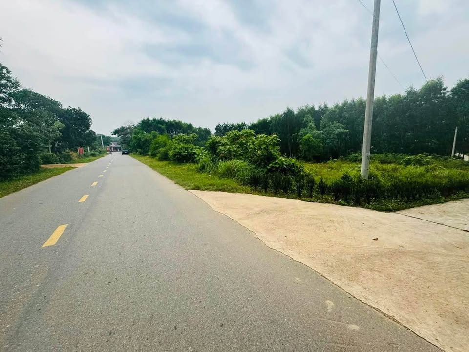 Nhà phố Bến Quan 210m² giá 220-229 triệu - Mặt tiền kinh doanh