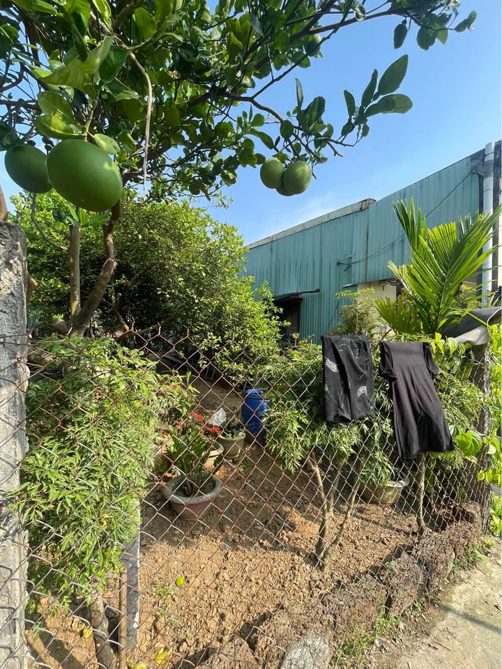 Bán đất kiệt ô tô 100m² Cẩm Lệ, Đà Nẵng - Giá 2.45 tỷ, Hướng Đông Nam