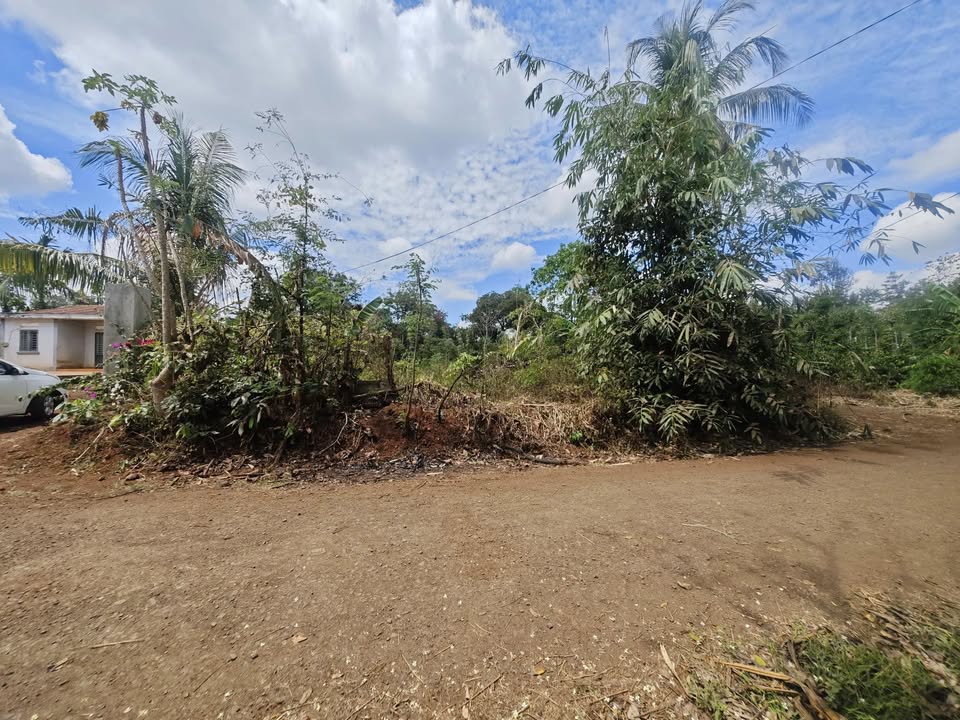 Đất Nền Trung Tâm Ea Pốk - 350 Triệu/Lô - Tiềm Năng Tăng Giá Vượt Trội