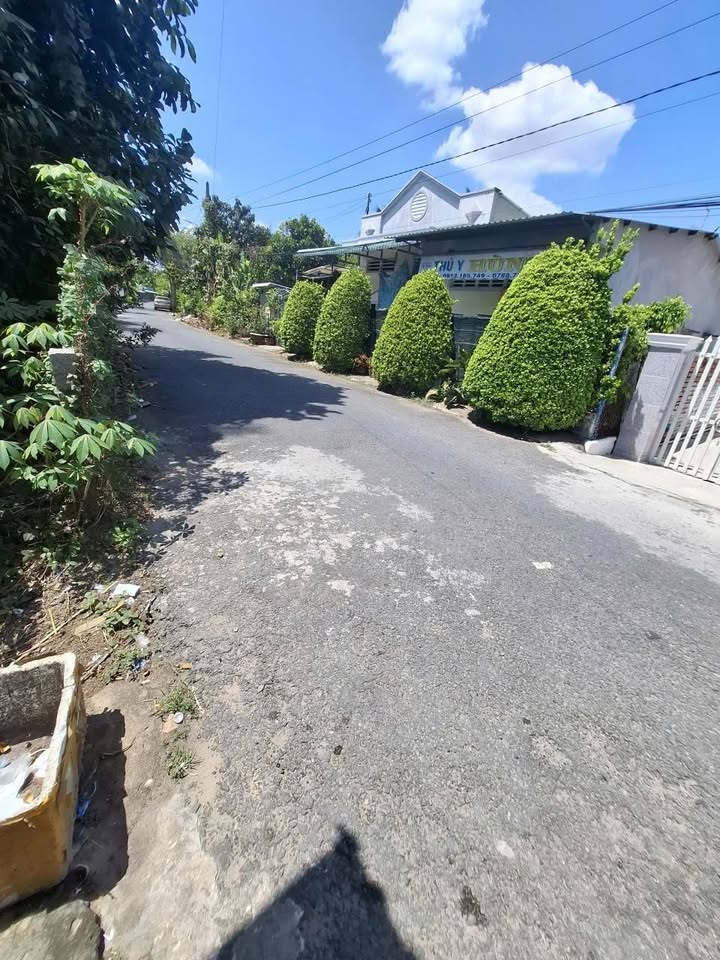 Nhà Cấp 4 54m² Mặt Tiền Phạm Ngọc Thạch, Sa Đéc - Giá 230 Triệu