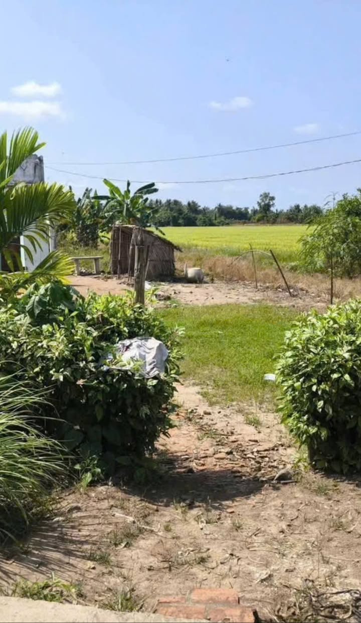 Đất nền Sóc Trăng 250m² giá 220 triệu - Sổ đỏ chính chủ!