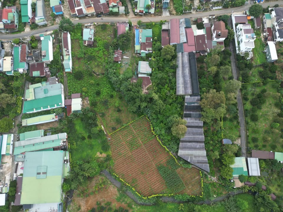 Đất Mặt Tiền Lam Sơn, Bảo Lộc 2000m² - Kinh Doanh Homestay, Cafe