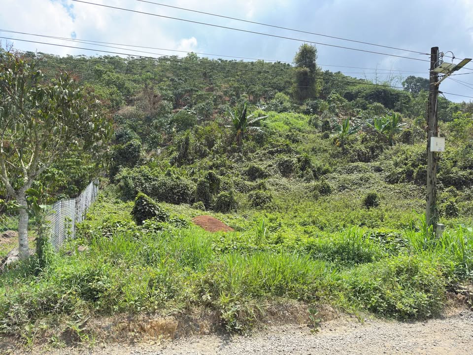 Đất nền Lộc Đức, Bảo Lâm 2609m² - Đất thổ cư 100%, Sổ đỏ chính chủ!