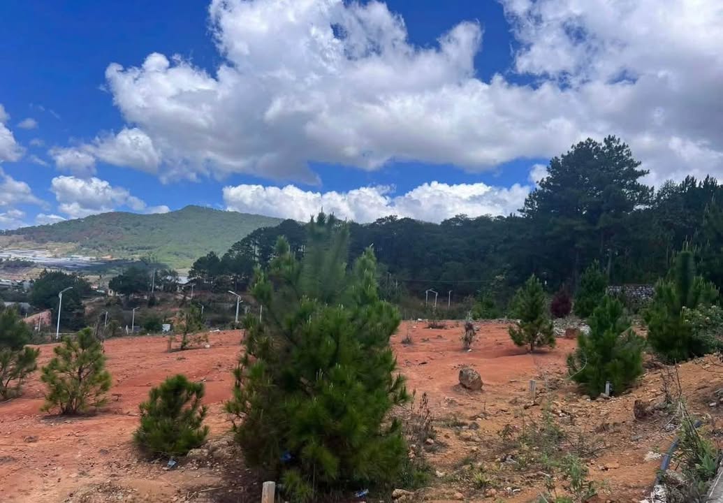 Bán Đất Vạn Xuân Đà Lạt 116m² - Sổ Riêng, Nở Hậu Đẹp, Giá 3.4 Tỷ