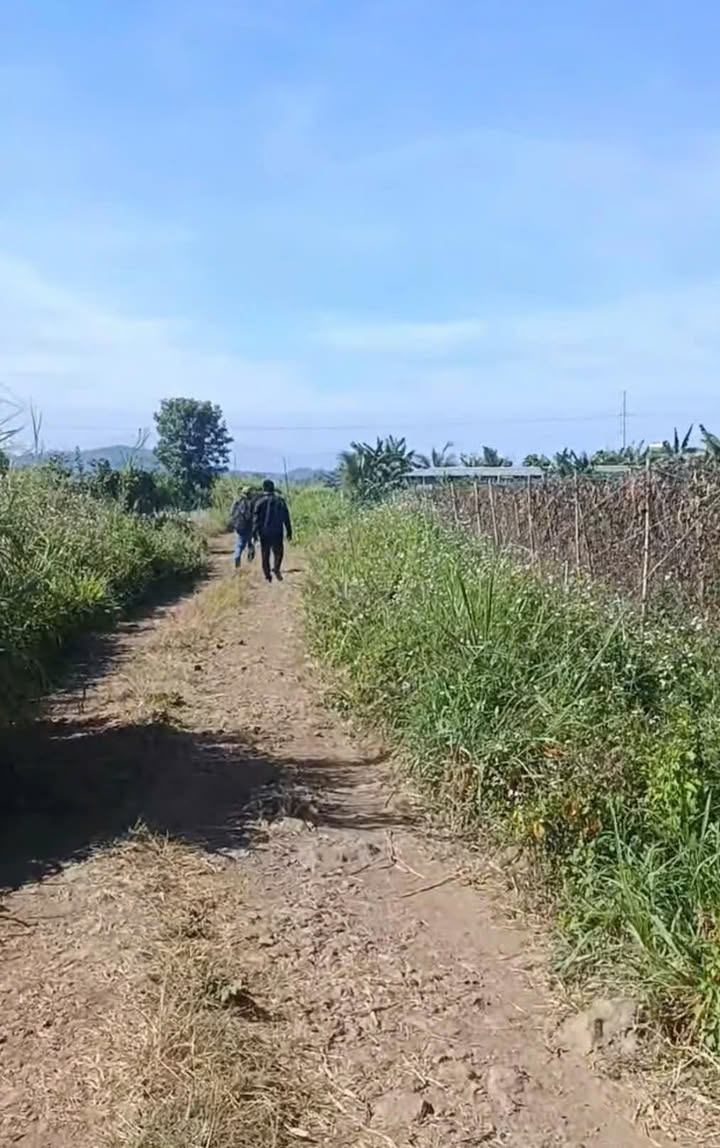 Bán Gấp Đất Nông Nghiệp 10800m² Mặt Tiền Đường Đức Trọng - 2.7 Tỷ