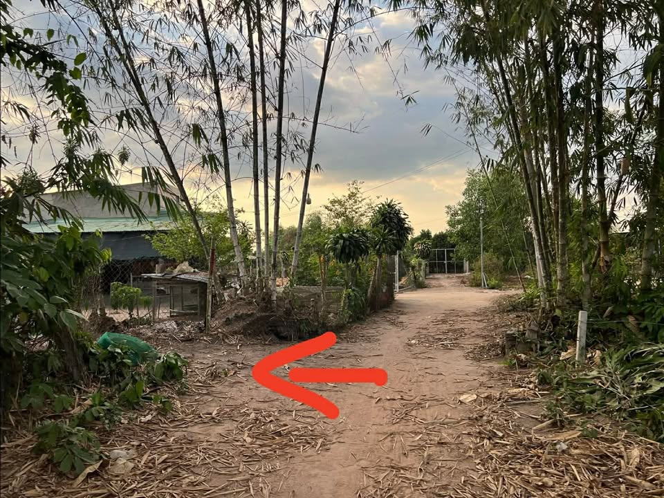 Bán Đất 1000m² Sổ Hồng Riêng Tại Phú Hòa, TDM - Giá 750 Triệu