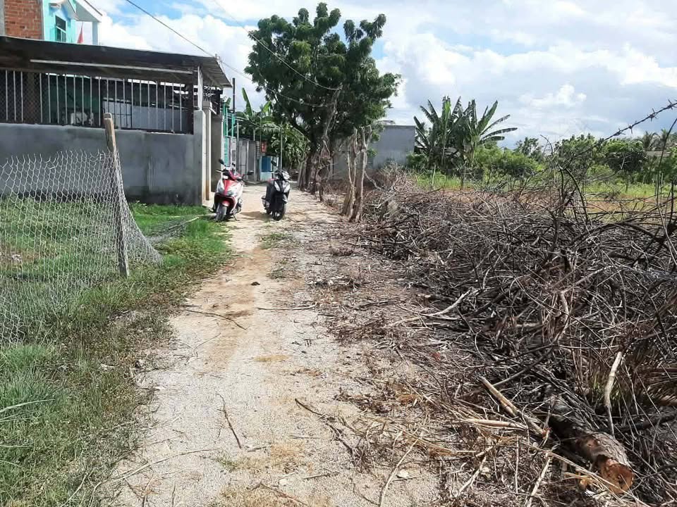 Đất Nền Phan Rang-Tháp Chàm 368m² - Sổ Đỏ Chính Chủ Giá Tốt!