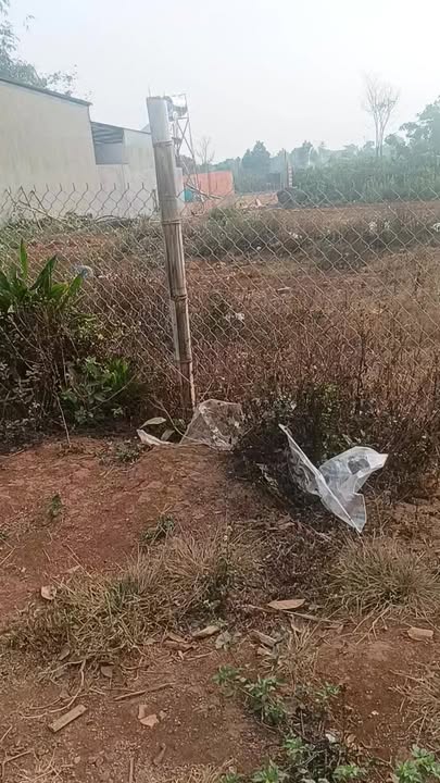 Đất Vàng Ia Băng, Đăk Đoa, Gia Lai - 555m² TC, Ngay Trung Tâm Dân Cư