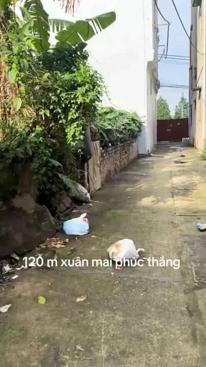 Đất nền Mê Linh 120m² - Mặt tiền 8m, ngõ thông, giá 2.x tỷ