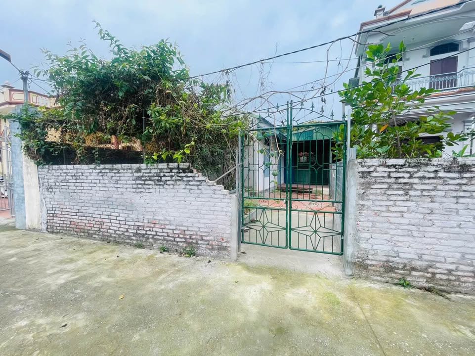 Nhà cấp 4 An Điềm, Cẩm Giàng 117m² - Sẵn sàng ở ngay!