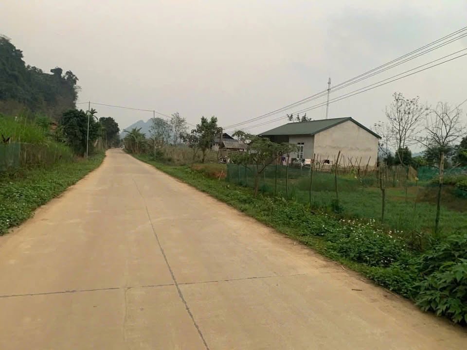 Đất Vị Xuyên, Hà Giang 2822m² Sổ Hồng, Giá Tốt - Cơ Hội Đầu Tư