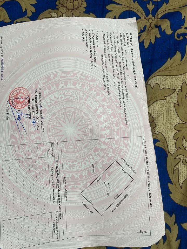 Đất Lô Góc Nam Đàn 226m² - Mặt Tiền Liên Xã, Kinh Doanh/Đầu Tư Tốt