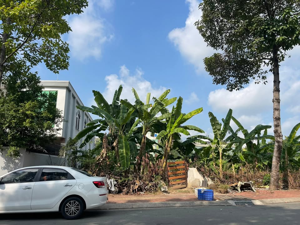 Đất Mặt Tiền Tô Vĩnh Diện Tân Phú 500m² - Kinh Doanh Đắc Lợi 11 Tỷ