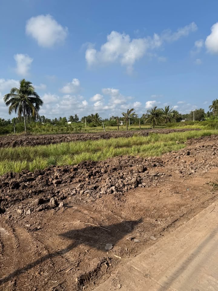 Đất nền Tân Phú Đông 175m² - Sổ đỏ chính chủ, giá chỉ 220 triệu