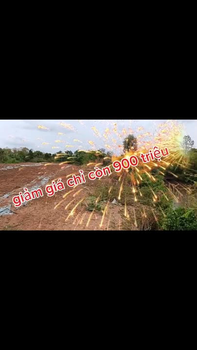 Đất Nền Hà Đông 2.3ha - Tiềm năng tăng giá cực lớn!