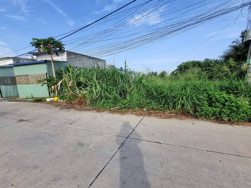 Đất nền Tân Thạnh Đông, Củ Chi 780m² giá 4.5 tỷ - Tiềm năng tăng giá!