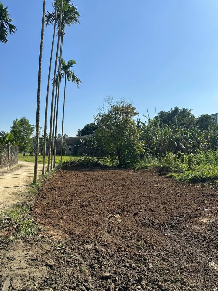 Đất nền An Trạch Hòa Tiến 99.7m² - Đường thông thoáng, pháp lý chuẩn