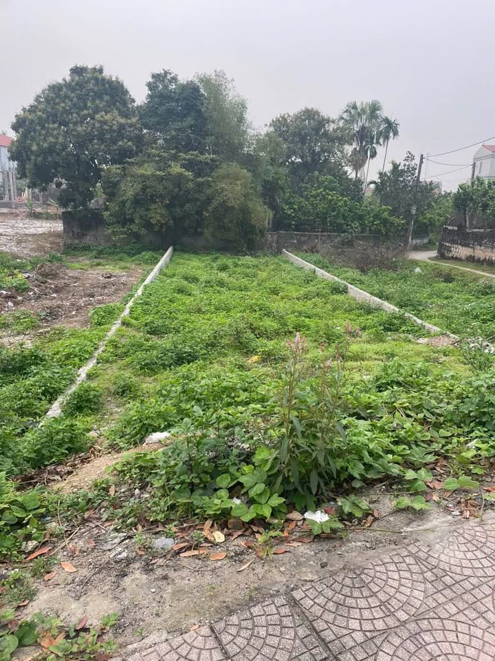 Mặt Tiền Kinh Doanh Phan Huy Ích, Phủ Lý - 214m² Giá F0