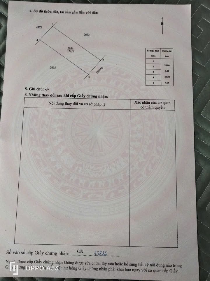 Đất Nền Nam Lĩnh, Nam Đàn 125m² - Sổ Đỏ Sẵn Sàng, Giá Tốt Đầu Tư