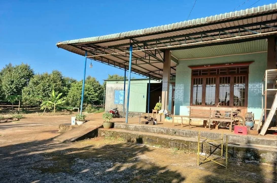 Đất vườn Đồng Phú, Bình Phước 10ha giá 12 tỷ - Đầu tư sinh lời vượt trội!