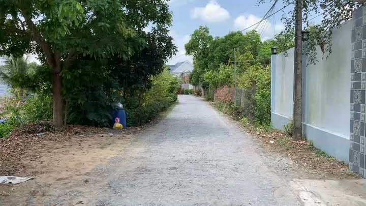 Bán Đất Nền Mỹ Hạnh Trung Cai Lậy 85m² Giá 290 Triệu - Sổ Hồng Sẵn!