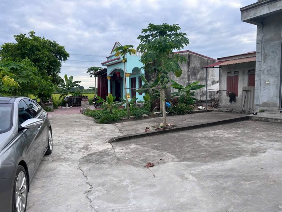 Đất 133m² Cao Xá, Tân Yên, Bắc Giang - Giá chỉ 6xx Tỷ, Sổ Đỏ Rõ Ràng