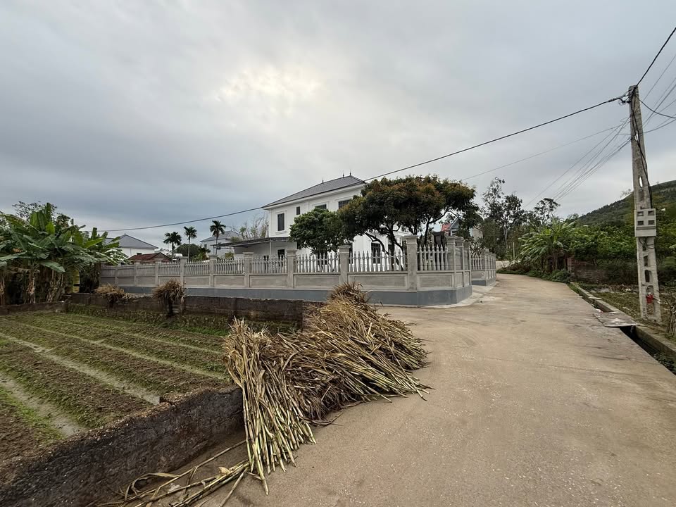 Đất nền Tân Yên Bắc Giang 100m² - Tiềm năng tăng giá!