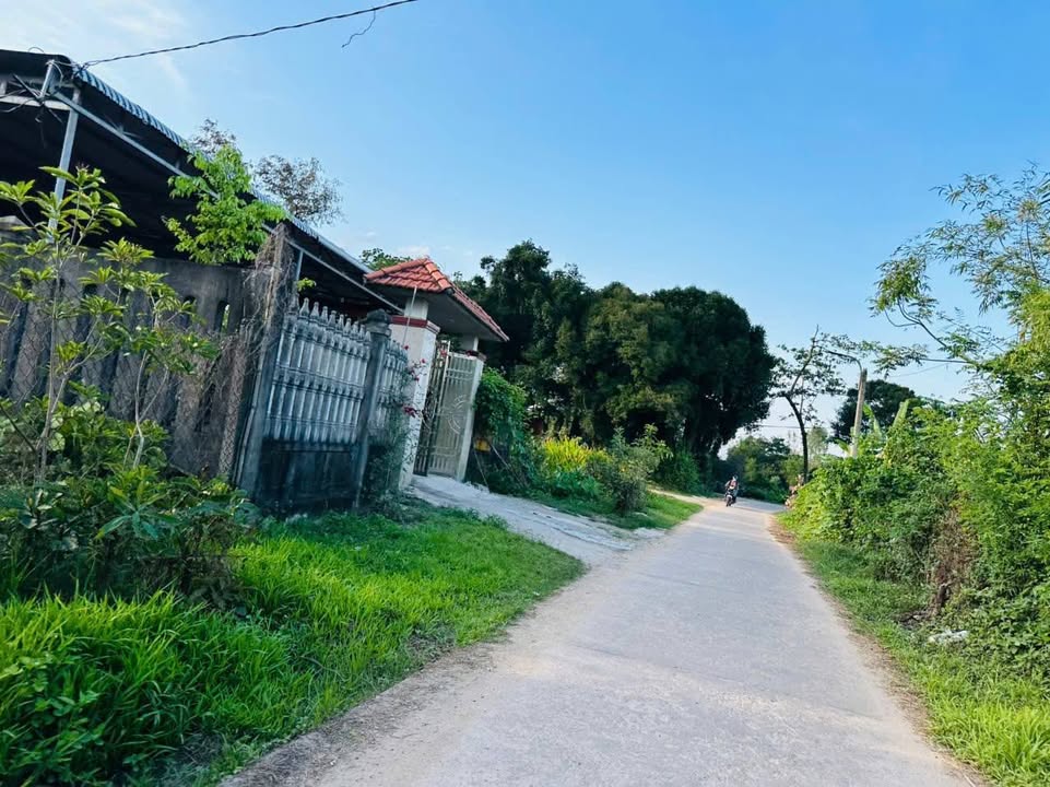 Đất Nền 70m² Đường Thuận Hóa, Huế - Giá 1.1 Tỷ, Sẵn Sổ Đỏ