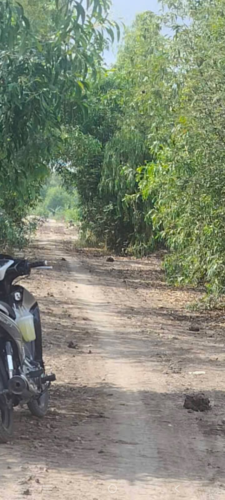 Đất Tà Đảnh Tri Tôn 66.000m² - Mặt tiền 75m, tiềm năng tăng giá!