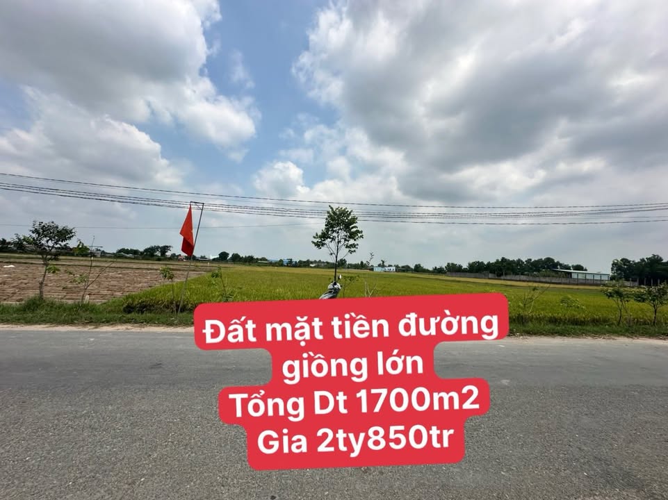 Đất nền Mỹ Hạnh Nam 1700m² - Đường nhựa 7m ô tô vào tận nơi!