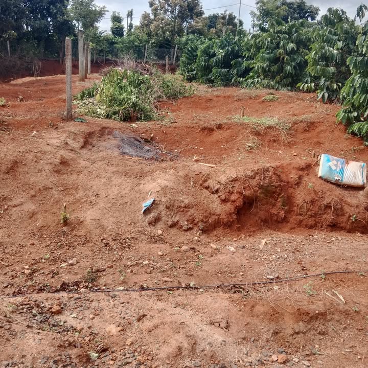 Đất nền Đắk R'La Đắk Mil 800m² 1,6 tỷ - Đường to ô tô