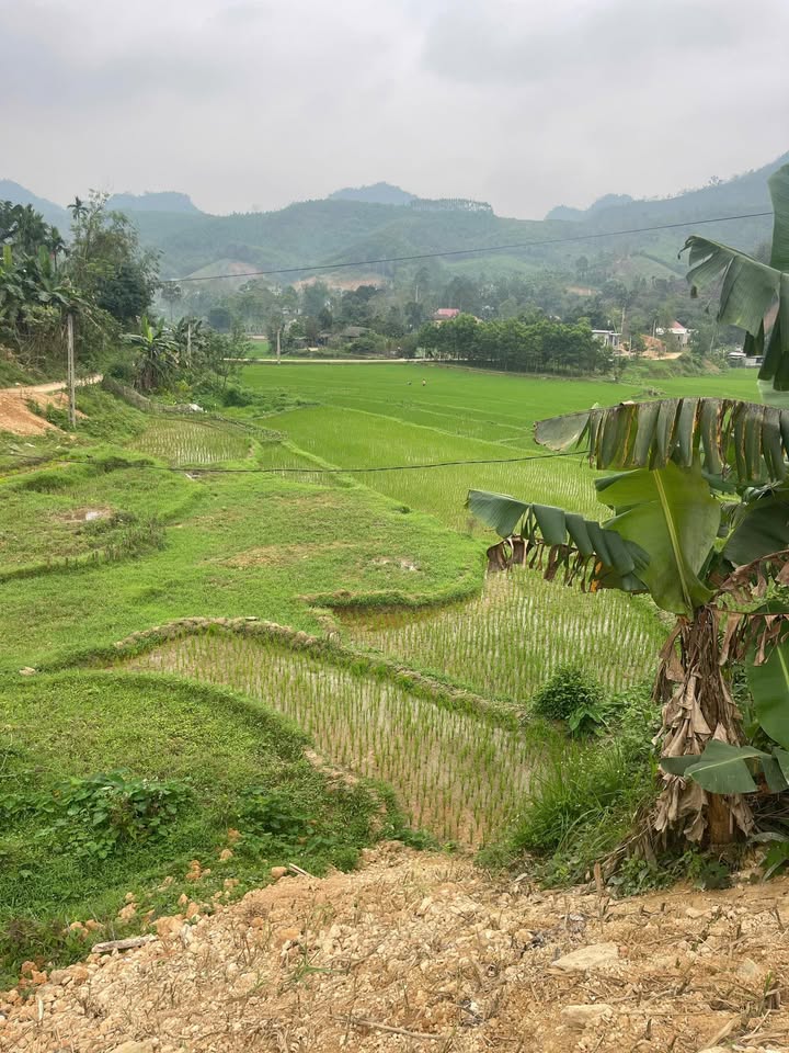 Đất nền Yên Thủy Hòa Bình 1000m² - View thiên nhiên, tặng ao!