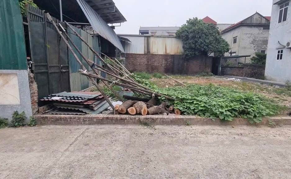 Đất Nền Đông Anh 110m² - Sổ Đỏ Sẵn Sàng, Đường 17m