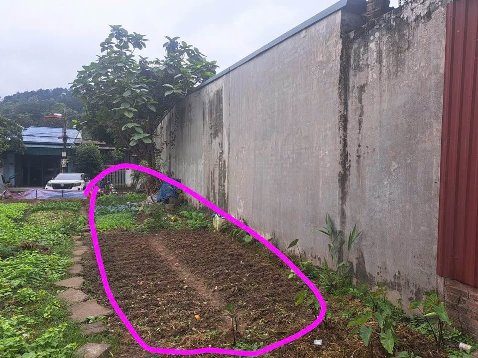 Đất nền Đường N3 – Dương Quảng Hàm 100m² – Sổ đỏ chính chủ