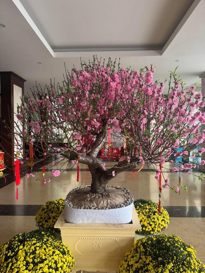 Đất nghỉ dưỡng Phường 2 Bảo Lộc 1900m² - Sổ đỏ chính chủ!