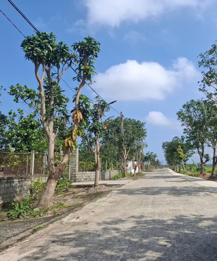 Bán đất Thị trấn Cẩm Xuyên 232m² giá 1 tỷ - Sổ đỏ chính chủ