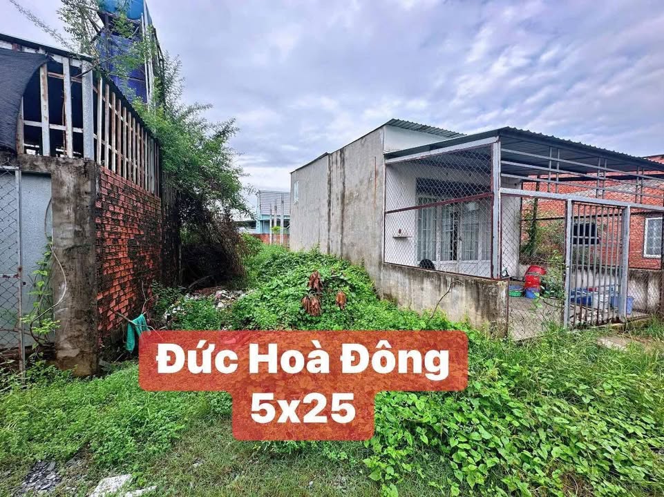Đất Sổ Hồng 125m² Đức Hòa Đông, Long An - Giá Ngộp 850 Triệu