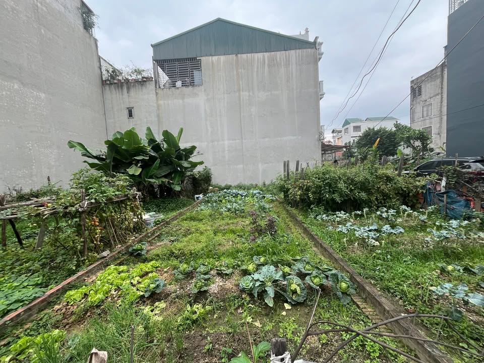 Đất nền Tân Tây Đô 50m² - Lô góc 2 mặt thoáng, tiềm năng tăng giá!