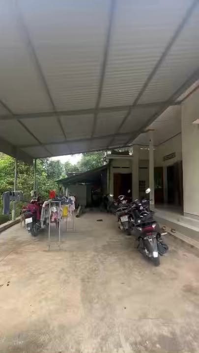 Đất Vườn Thanh Ba, Phú Thọ 4300m² - Nghỉ Dưỡng Lý Tưởng!