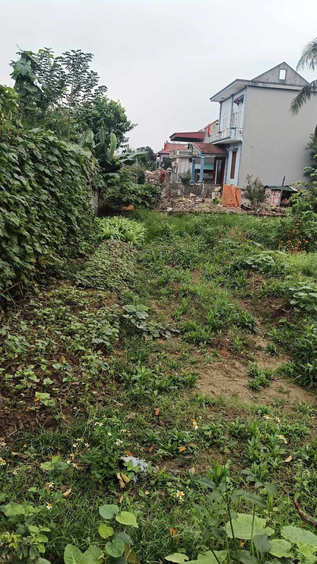 Đất nền Làng Sài 80m² Tứ Kỳ - Đường to ô tô, kinh doanh đỉnh!