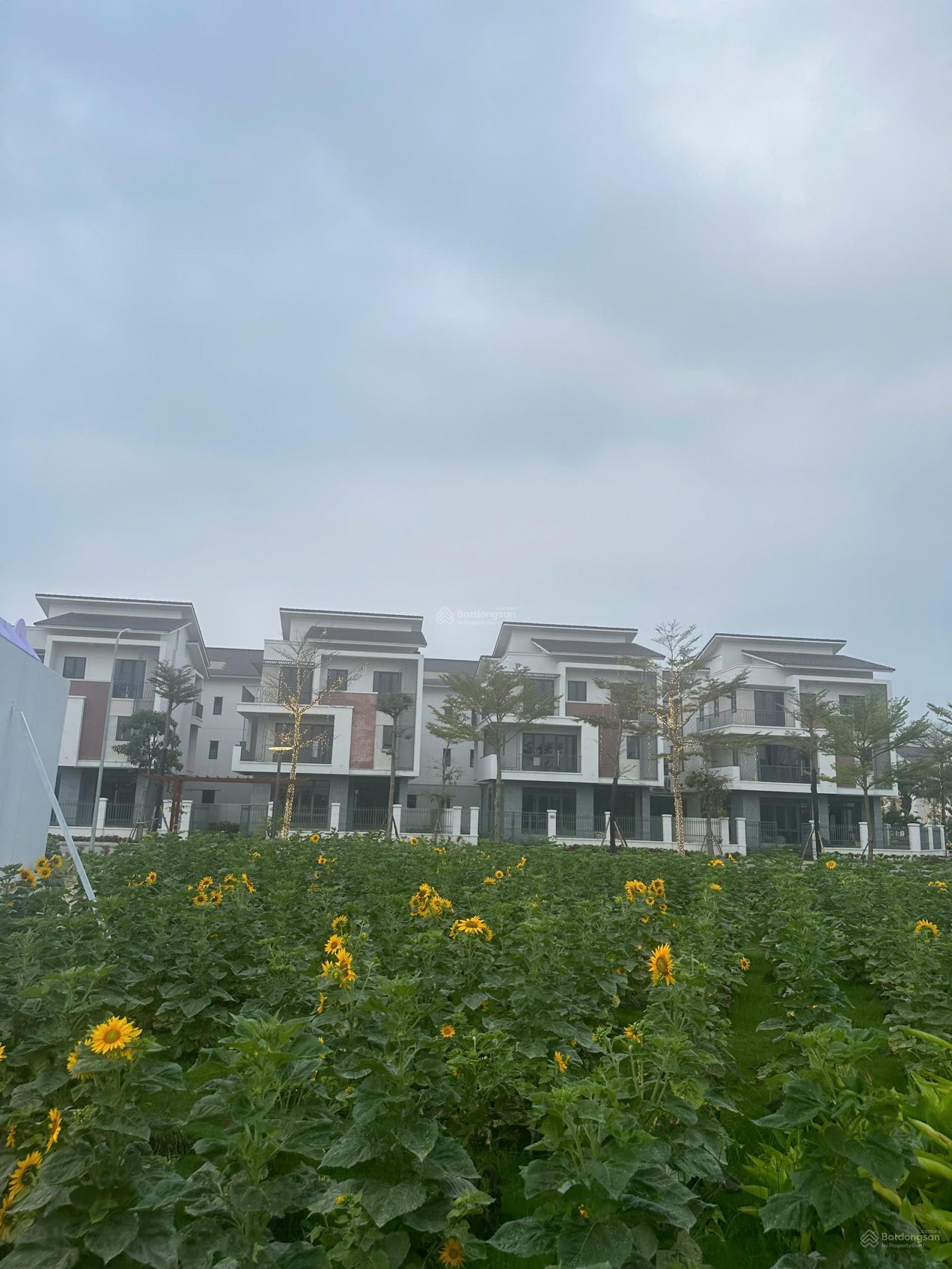 Biệt thự vườn Centa Riverside Từ Sơn 225m² - Vị trí đẹp!