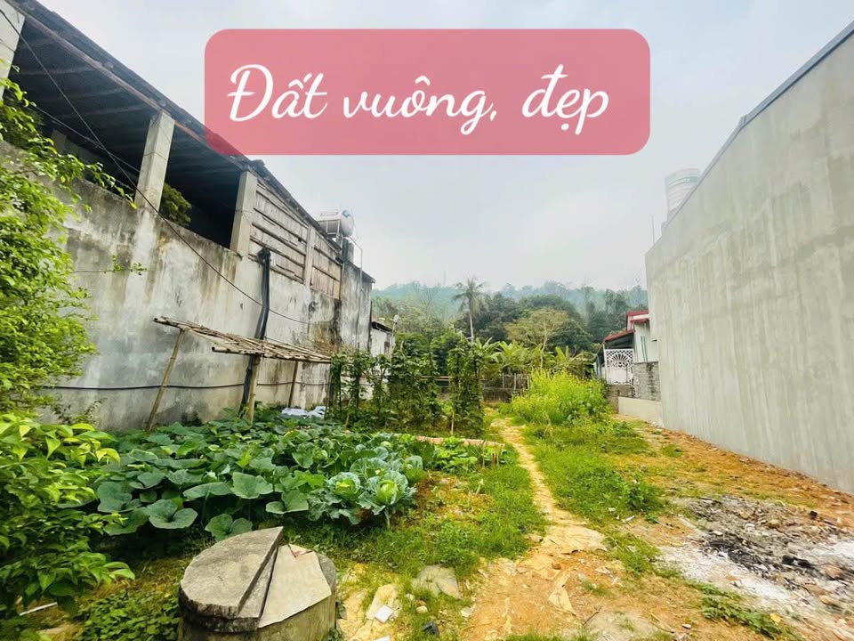 Đất nền 200m² mặt tiền 11m đường Trần Văn Nỏ, Lào Cai - Sổ hồng chính chủ