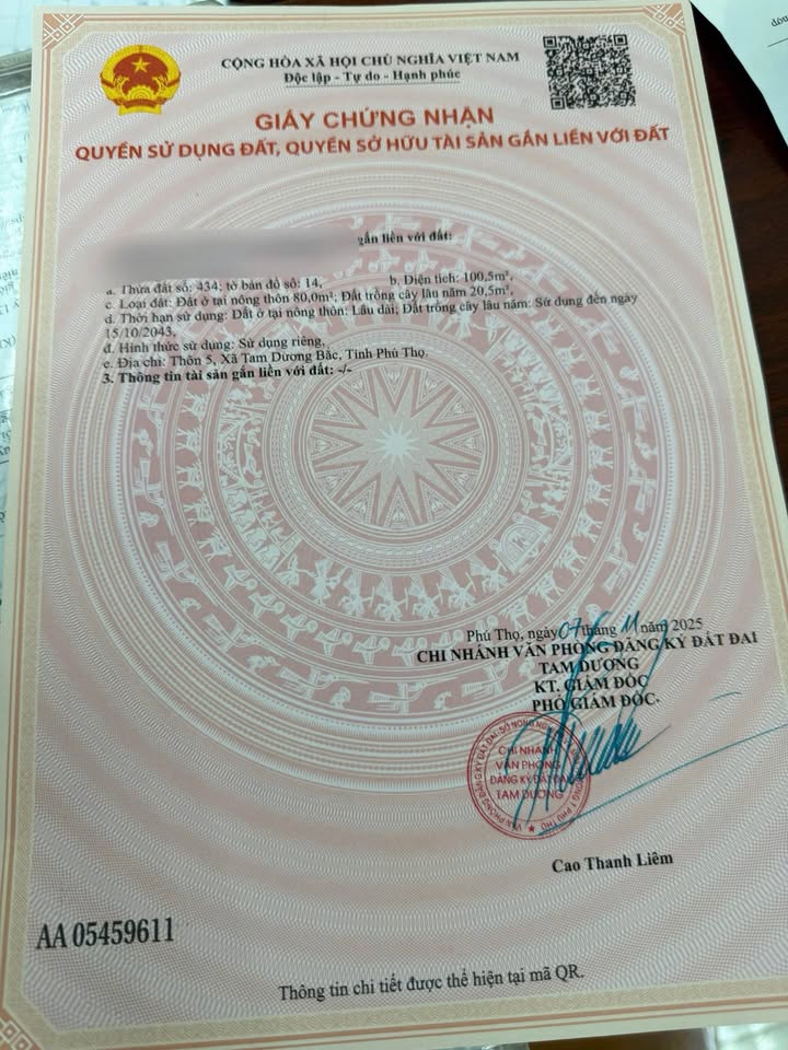 Đất nền Hoàng Hoa, Tam Dương 100m² - Lô góc siêu thoáng, giá chỉ 710 triệu!